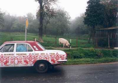 image033.jpg (14737 Byte)